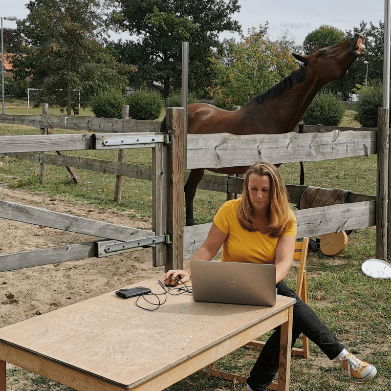 Doreen-Hoernig-Die-Pferdeprofi-Assistenz-Unsere-Zusammenarbeit-Bild-1